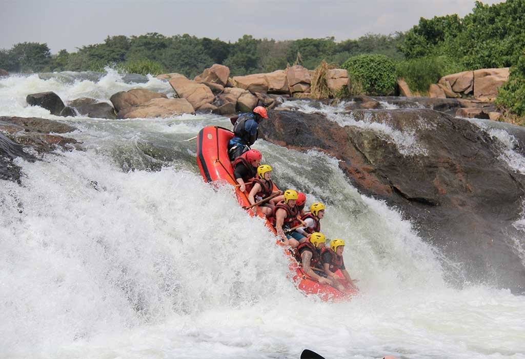 4 Days Gorilla Trekking & White Water Rafting Safari in Uganda